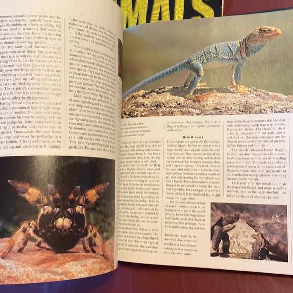 Books:Scholastic Encyclopedia ANIMALS & Reader’s Digest INTELLIGENCE IN ANIMALS - Picture 8 of 16